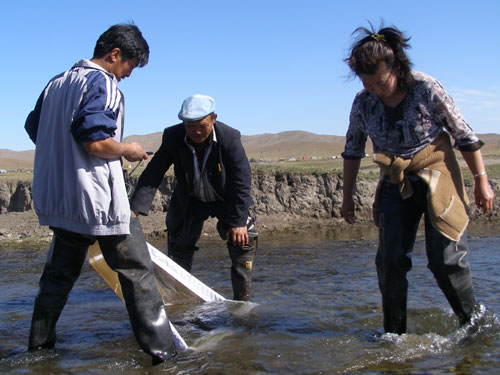 MG2 Using a kick net to collect waterbugs