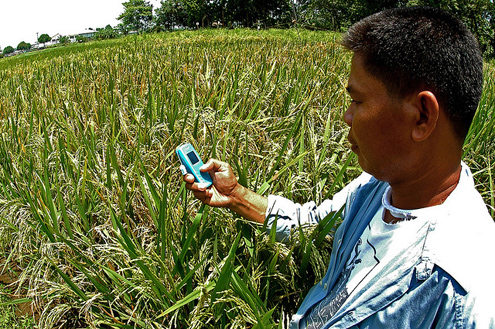 Farmer in the Philippines uses a mobile phone