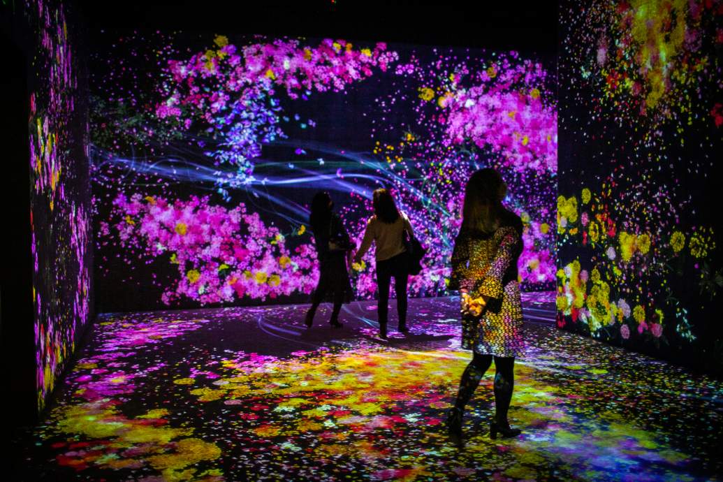 Digital projections of purple and yellow flowers in interactive exhibit