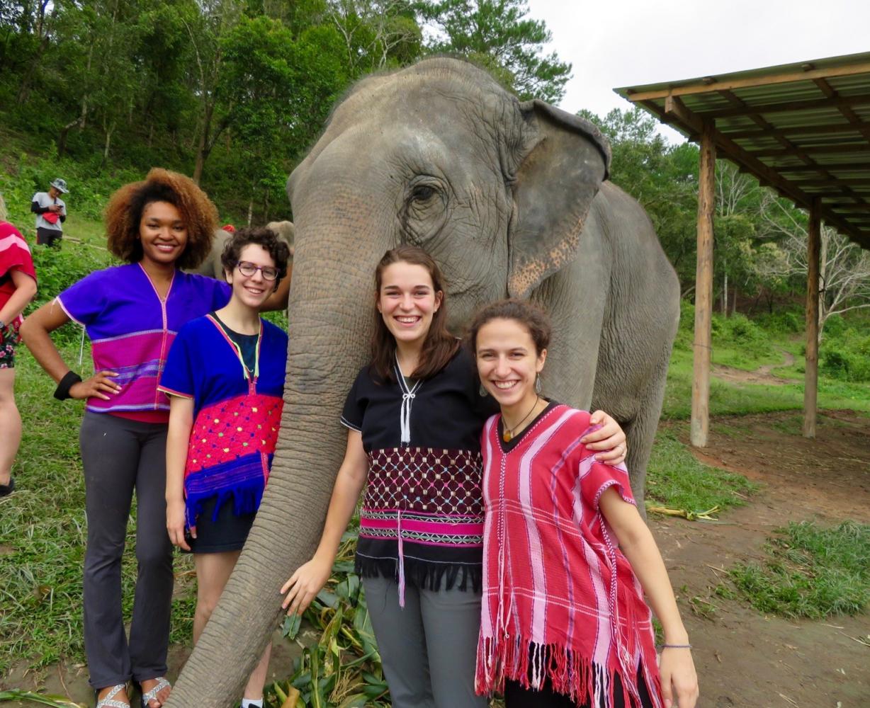 A group of women stand next to an elephant