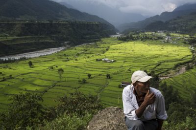 A man sits for a smoke in front of green rice fields
