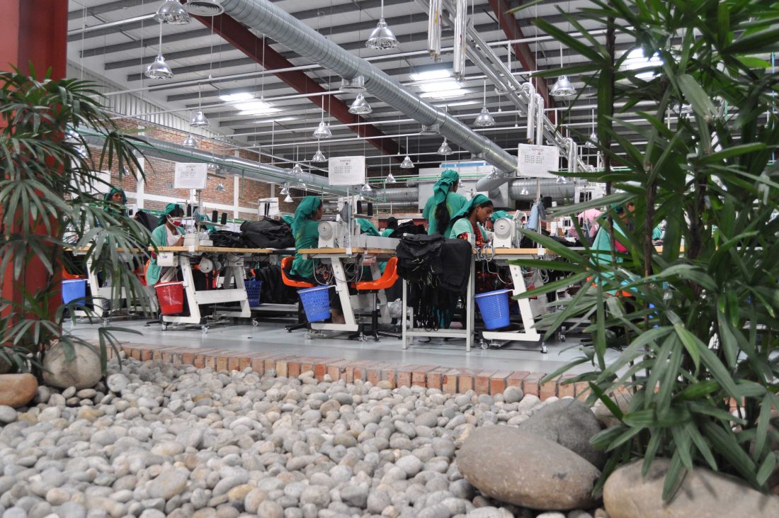 Bangladesh's RMG sector employs over 4 million people, about 80 percent of whom are women from rural communities. Above, a plants in a garment factory promote a greener work environment. Photo/BGMEA