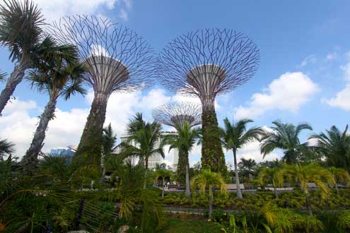 singapore women