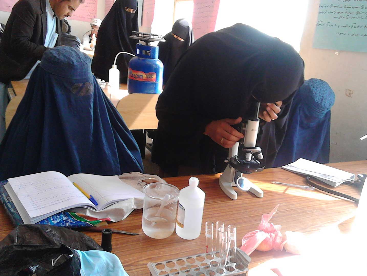 Teachers participate in a biology class in science training in Khost province.