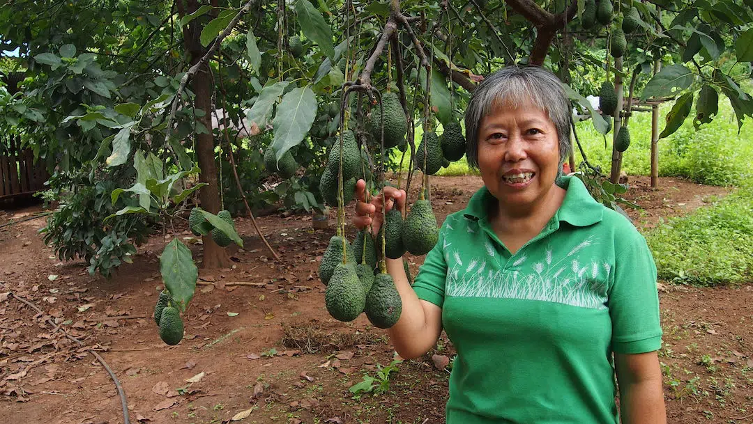 Woman smiling with Avocado tree