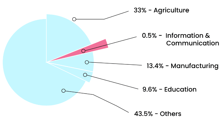 Pie graph detailing the sectors in which women in Nepal work