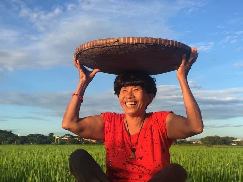 Woman in a red shirt sits in a rice field with a basket on her head