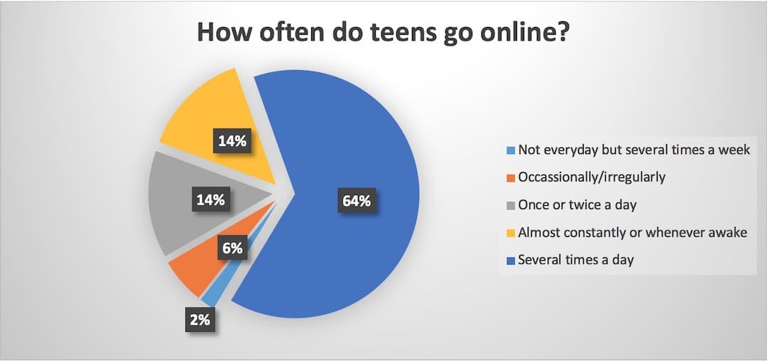 Pie chart showing results for a result on cyberpositive workshop. Question: How often do teens go online