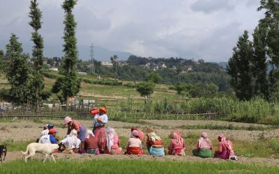 Women in colorful garb sit in a green landscape