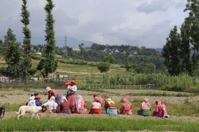 Women in colorful garb sit in a green landscape