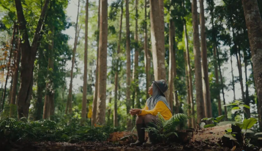 A woman wearing a yellow shirt, boots, and a traditional headscarf and hat sits on the forest ground, overlooking trees. 