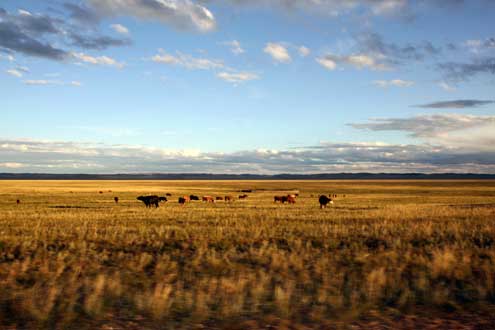 Mongolia landscape