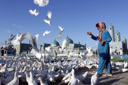 Photo/Gulbuddin Elham