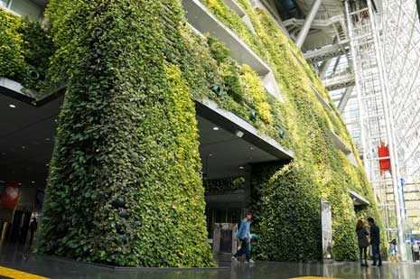 Seoul’s City Hall boasts a seven-story-high vertical garden the size of a soccer field, which complement the building's environmentally friendly features. Photo/Flickr user Inhabitat